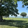 Photo of Lynch Park