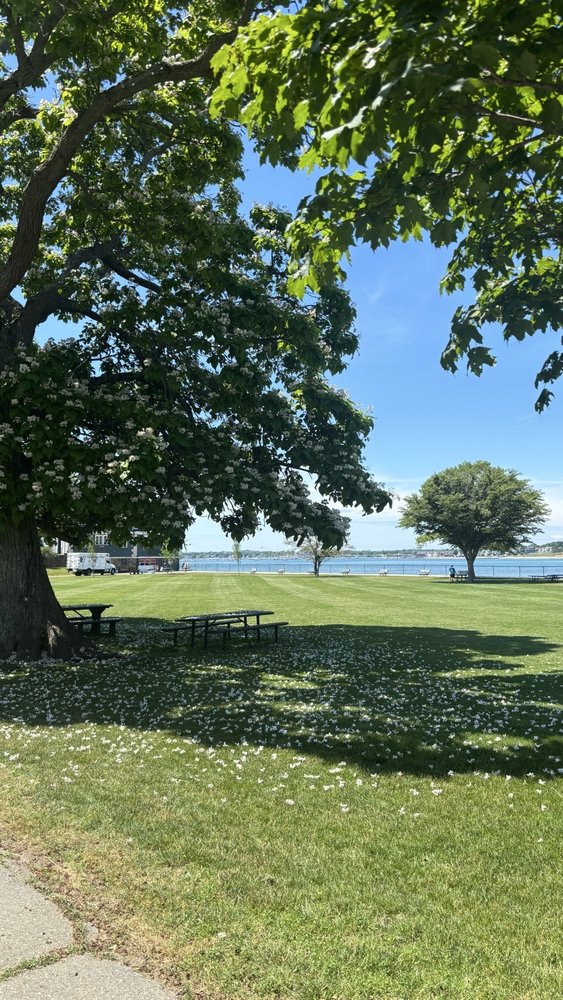 Social spots from Lynch Park