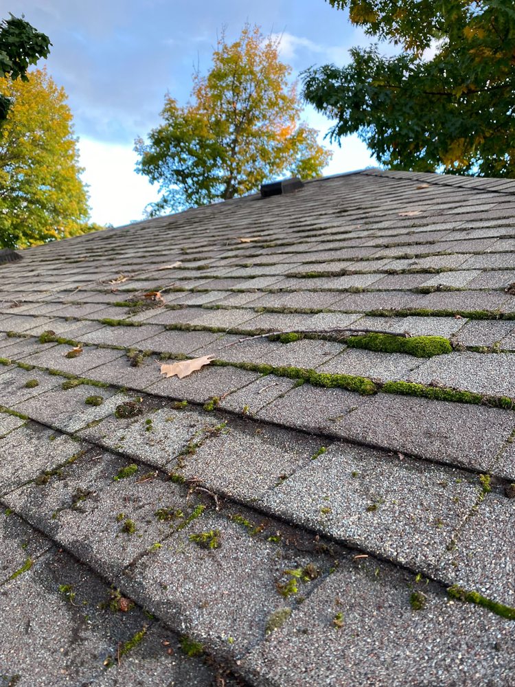 PRECISION GUTTERS & ROOFING Updated October 2024 11 Photos 11863