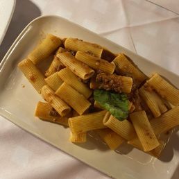 Bolognese Bolognese