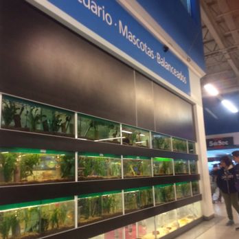 Walmart - Department Stores Near Me - Gonnet, C