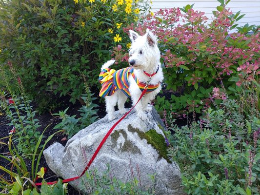 The Refinery Restaurant & Market by null