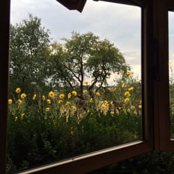 Mariandl's Jausenstation - Ausblick aus dem Wintergarten