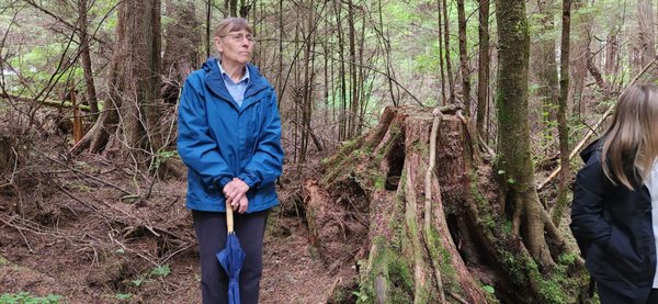 Totem Bight State Historical Park by null