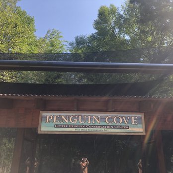 Penguin Cove - Zoos Near Me - Louisville, Kentucky Penguin Cove - Zoos Near Me - Louisville, Kentucky