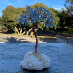Soothe Your Soul - Aquamarine tree on Quartz Aura cluster