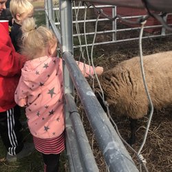 Suydam Farms