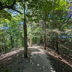 Crow’s Nest Trail