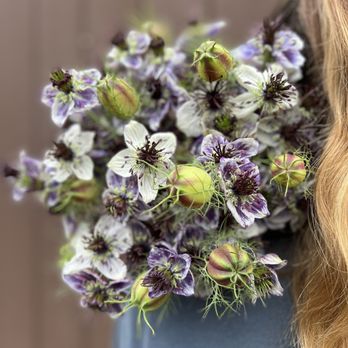 Mossbrook Roots Florist - Florists Near Me - Plattsburgh, New York Mossbrook Roots Florist - Florists Near Me - Plattsburgh, New York