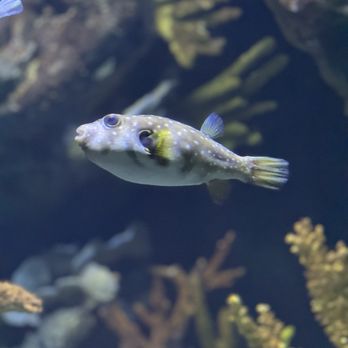 L'Aquàrium Barcelona - Aquariums Near Me - Barcelona, B L'Aquàrium Barcelona - Aquariums Near Me - Barcelona, B