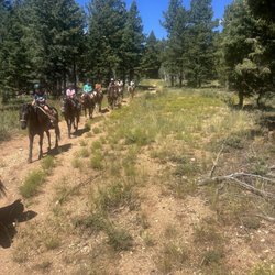 Duck Creek Horse Rides