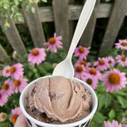JoJo's Ice Cream