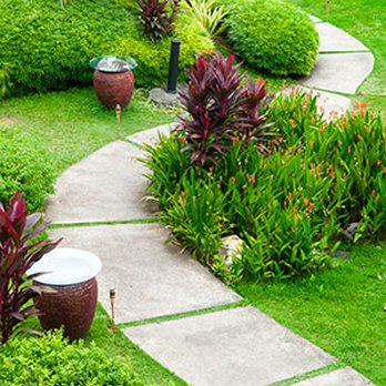 Black Pines Landscaping - a pathway in a tropical garden - Landscaping Near Me Black Pines Landscaping - a pathway in a tropical garden - Landscaping Near Me