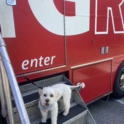 OneBlood Kissimmee Donor Center