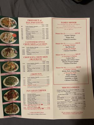 Menu photo 1 Lucky Bamboo Asian Cuisine Plainfield, IL Menu photo 1 Lucky Bamboo Asian Cuisine Plainfield, IL