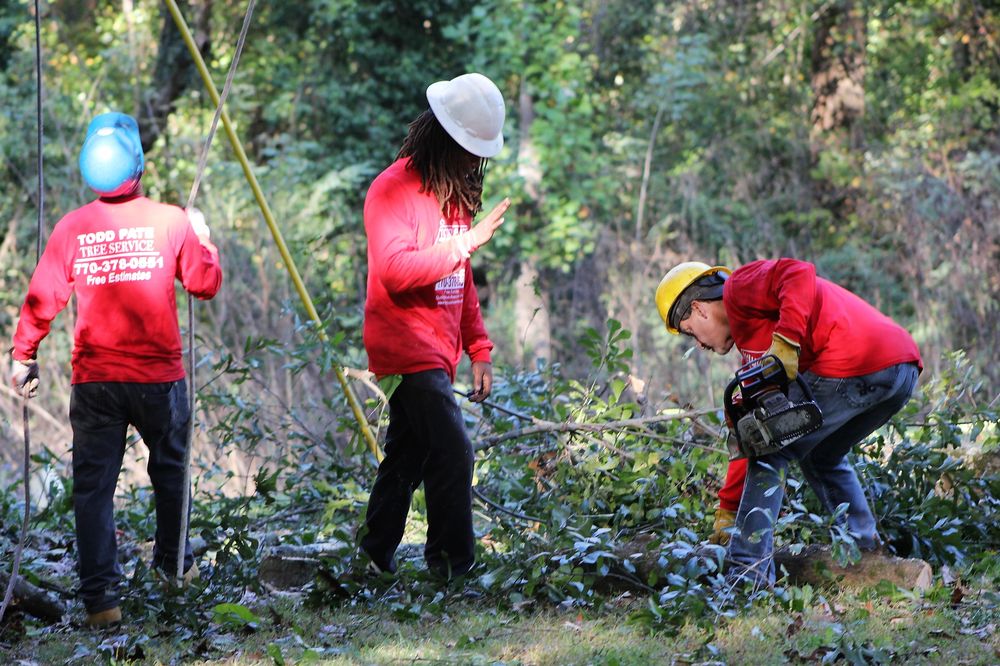 Todd Pate Tree Service - tree service in Mableton, GA