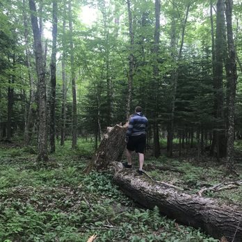 Lake of the Clouds - Hiking Near Me - Ontonagon, Michigan