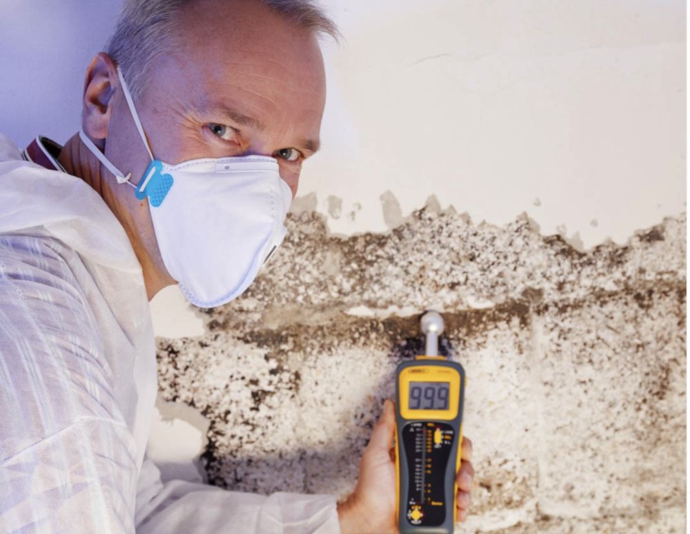 Moldoovia - mold inspector in Van Nuys, CA