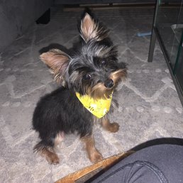 So cute, I can't take it!