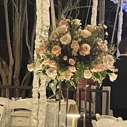 Tropical Roses