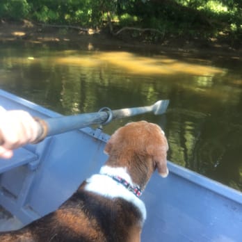 Fletcher's Boat House - Curious beagle - Boating Near Me - Washington, DC, District of Columbia