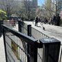 Photo of Union Square Dog Run