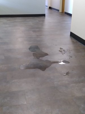 The Yards at Union Station by null