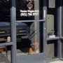 Photo of IECC - IE Cannabis Consultants