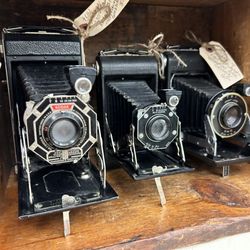 Queen of Hearts Antiques & Interiors - Vintage cameras