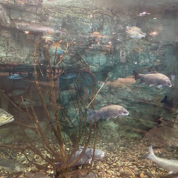 Bass Pro Shops - Outdoor Gear Near Me - Broken Arrow, Oklahoma