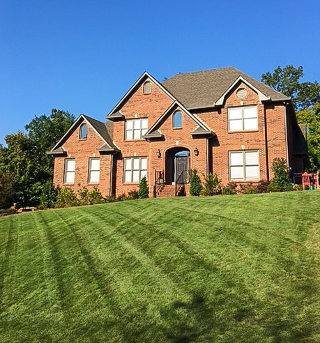 Deep Green Lawn Care - tree service in Pelham, AL