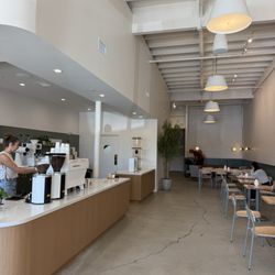 Bird Dog Coffee
