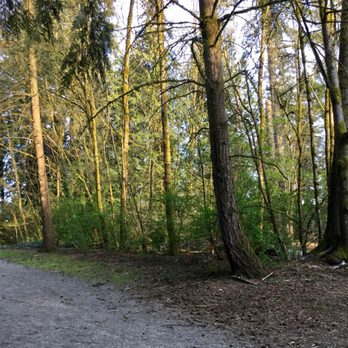 Simon Fraser Hills Park - Parks Near Me - Burnaby, British Columbia Simon Fraser Hills Park - Parks Near Me - Burnaby, British Columbia