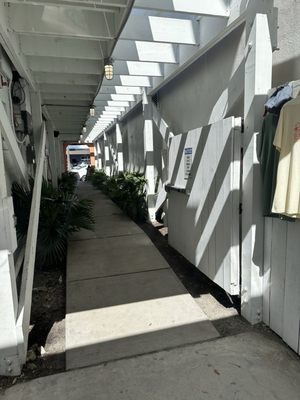 Revelry Brewing - Folly Beach by null