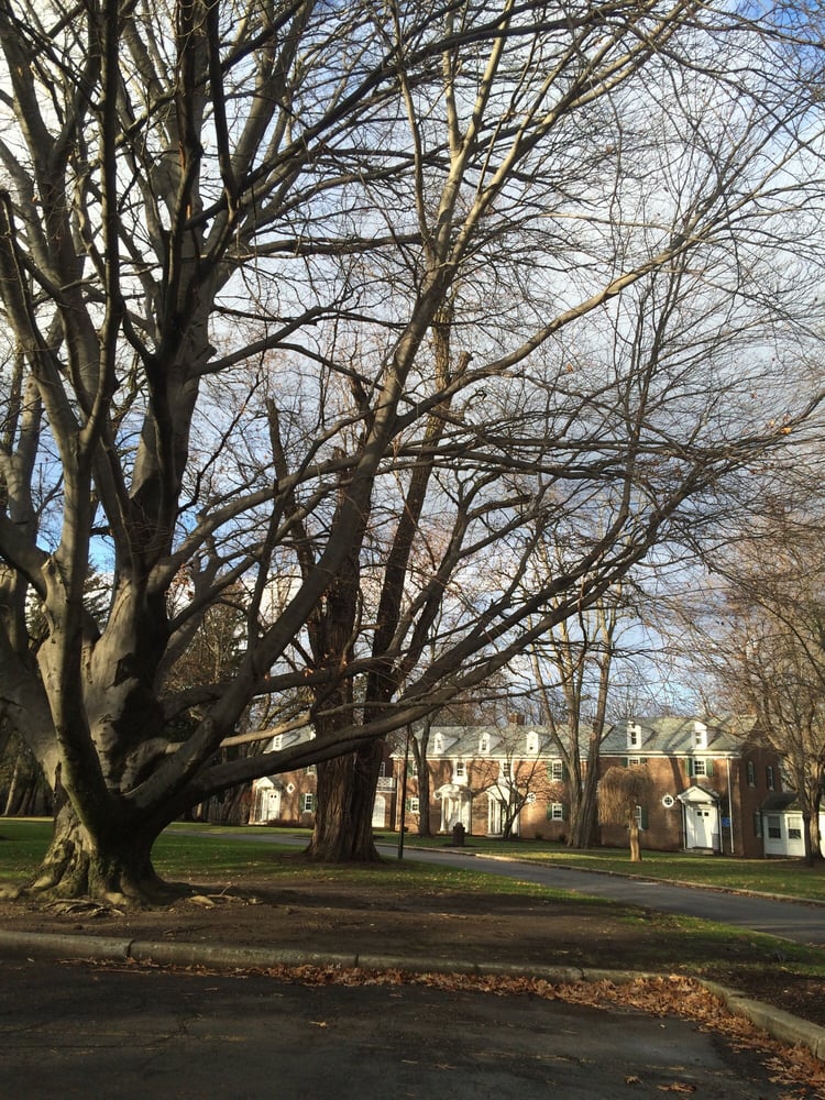 LIVINGSTON COUNTY OFFICES Murray Hill Dr, Mount Morris, New York