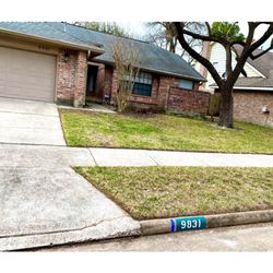 iMow Lawns - Property cleanup after the TX winter storm!