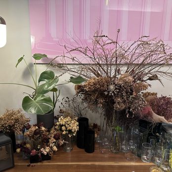 Kunst Coffee Haus - Plants everywhere! - Coffee & Tea Near Me - Bayside, New York Kunst Coffee Haus - Plants everywhere! - Coffee & Tea Near Me - Bayside, New York