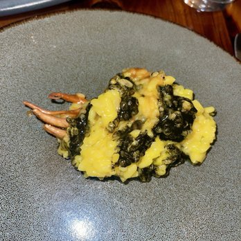 Bardea Food & Drink - Risotto and octopus - Bars Near Me - Wilmington, Delaware