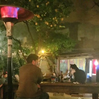 El Rio - On the patio at El Rio: the heater, lemon tree and the most important patron of this bar: the cat! - Music Venues Near Me - San Francisco, California El Rio - On the patio at El Rio: the heater, lemon tree and the most important patron of this bar: the cat! - Music Venues Near Me - San Francisco, California
