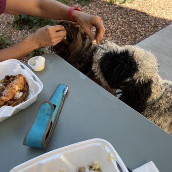 Alarado Biscuit Company - Chewie and Stella eating some Chicken and Waffles - Breakfast & Brunch Near Me - Grand Junction, Colorado