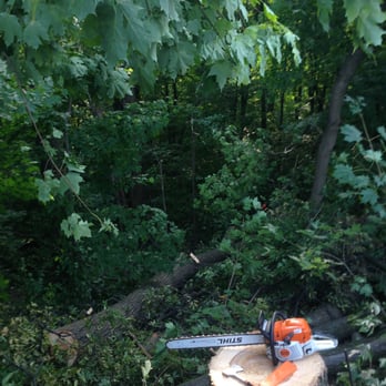 Harmony Tree Service - Tree Services Near Me - Markham, Ontario Harmony Tree Service - Tree Services Near Me - Markham, Ontario