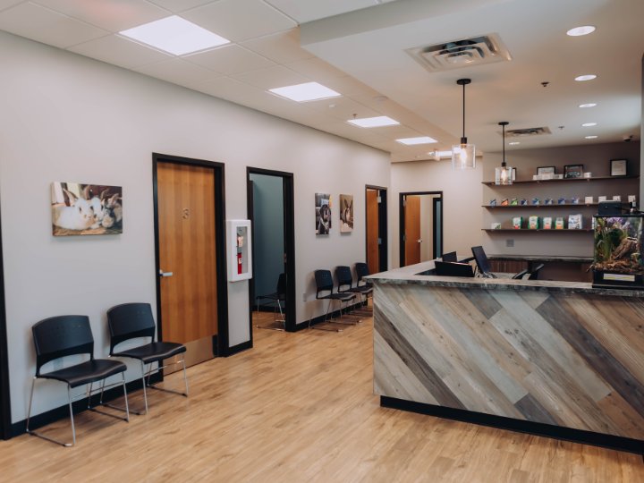 Bush Lake Pet Hospital - pet boarding facility in Eden Prairie, MN