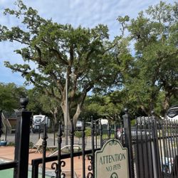 Majestic Oaks RV Resort - Pool