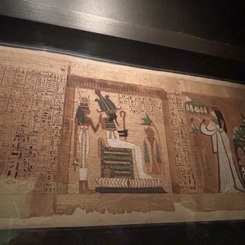 Field Museum - Museums Near Me - Chicago, Illinois