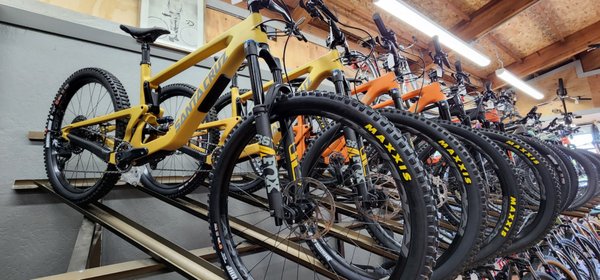 ENCINA BICYCLE CENTER - 144 Photos & 189 Reviews - 2901 Ygnacio Valley Rd, Walnut Creek 