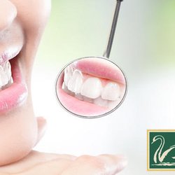 Walter Hadley, DDS