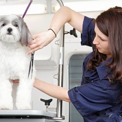 Woofie’s - Woofie's Mobile Pet Spa