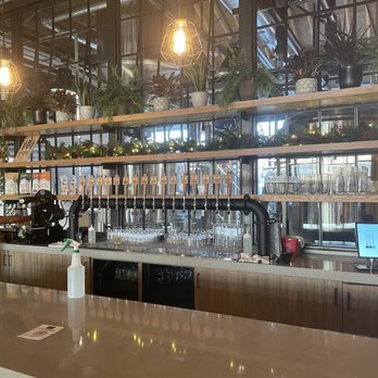 Public Offering Brewing Company - Taps and bar seating. - Breweries Near Me - Denver, Colorado