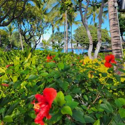 49 Black Sand Beach - Unbelievable view