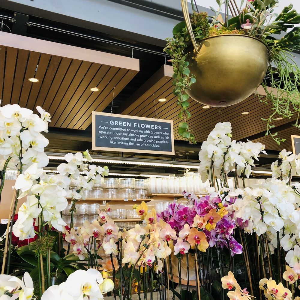 Central Market - Flowers at Central Market - Grocery Near Me - Houston, Texas Central Market - Flowers at Central Market - Grocery Near Me - Houston, Texas